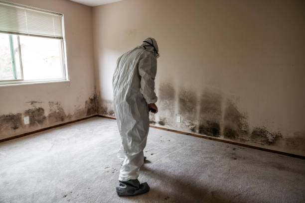 Water Damage Restoration in Tolar, TX